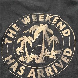 Men’s Chubbies Blue Tee with Palm Tree Graphic